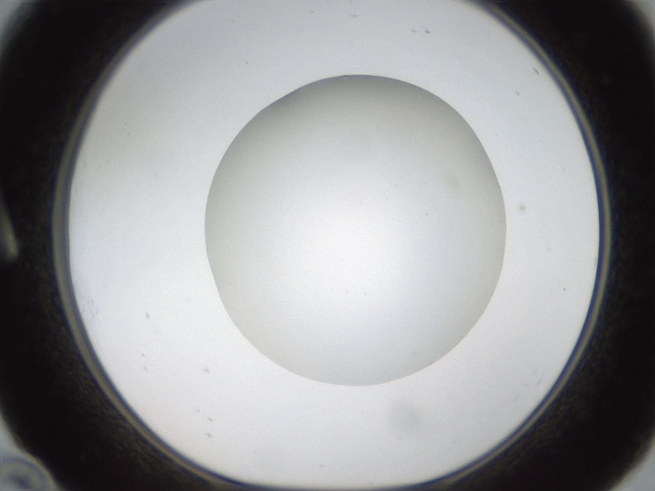folderID304_plateID1304_batchID4307_wellNum10_profileID1_d1_r78785_ef.jpg