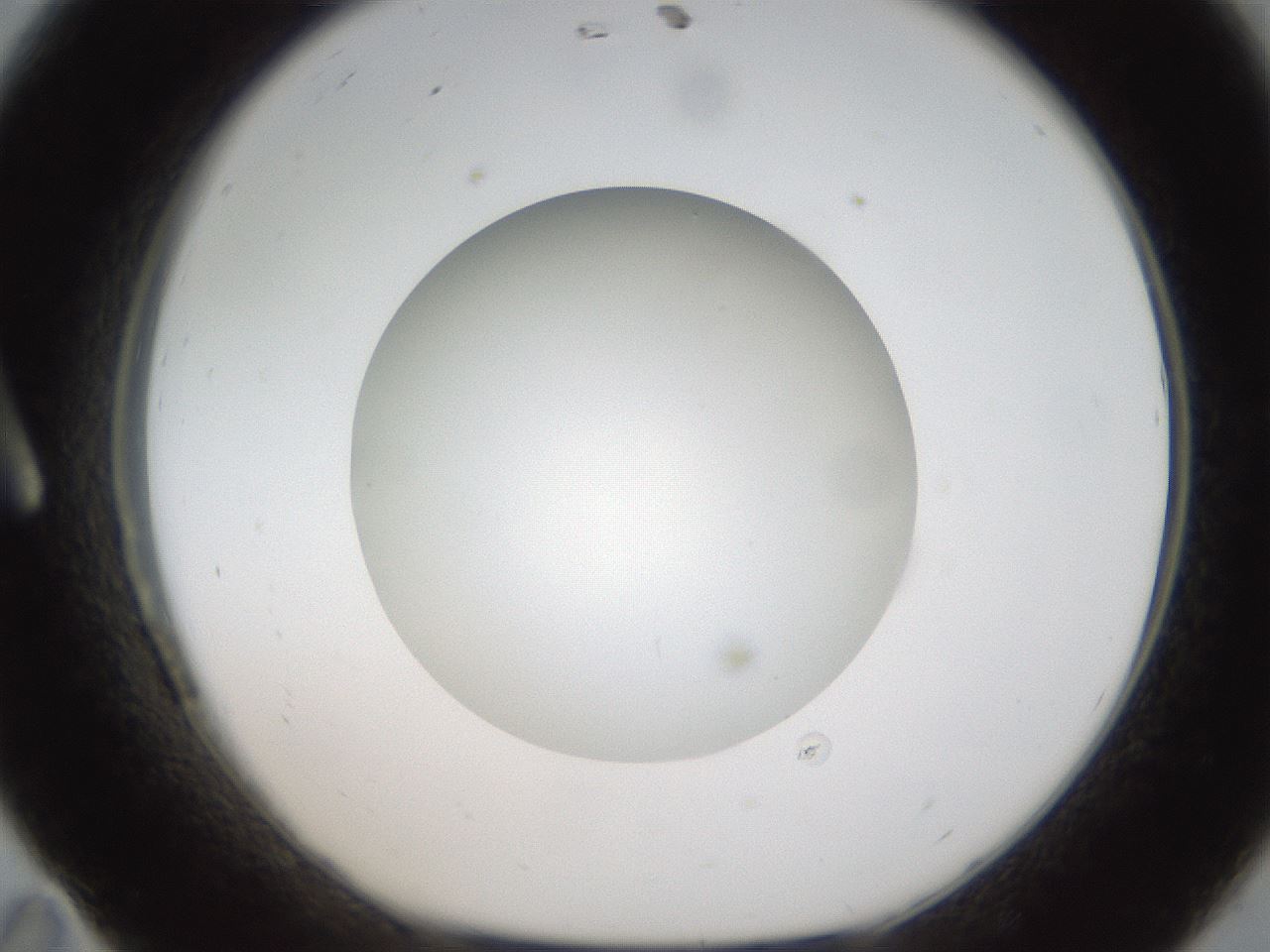 folderID304_plateID1304_batchID4307_wellNum11_profileID1_d1_r78786_ef.jpg