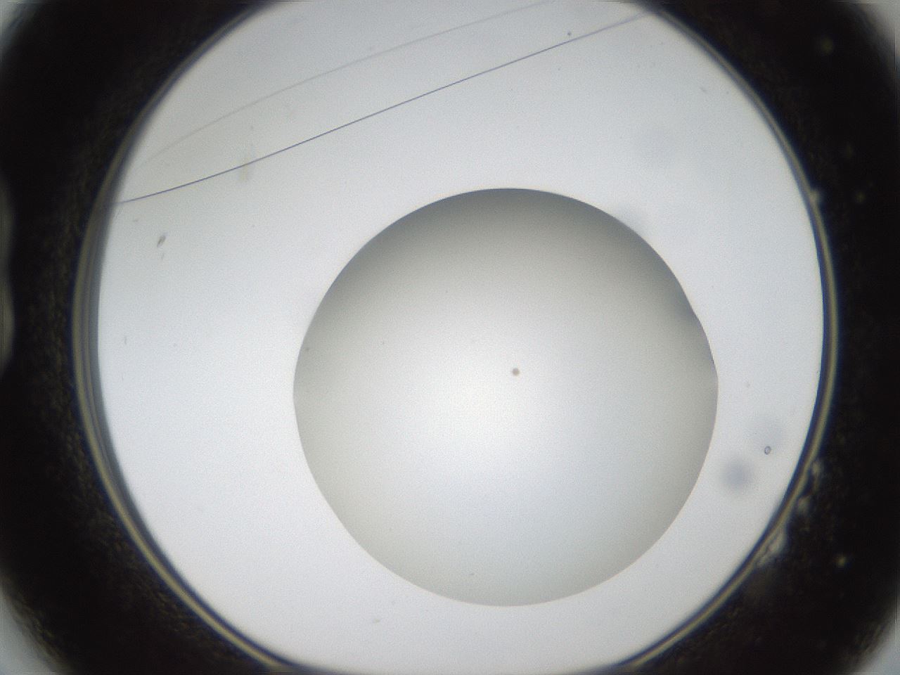 folderID304_plateID1304_batchID4307_wellNum14_profileID1_d1_r78789_ef.jpg
