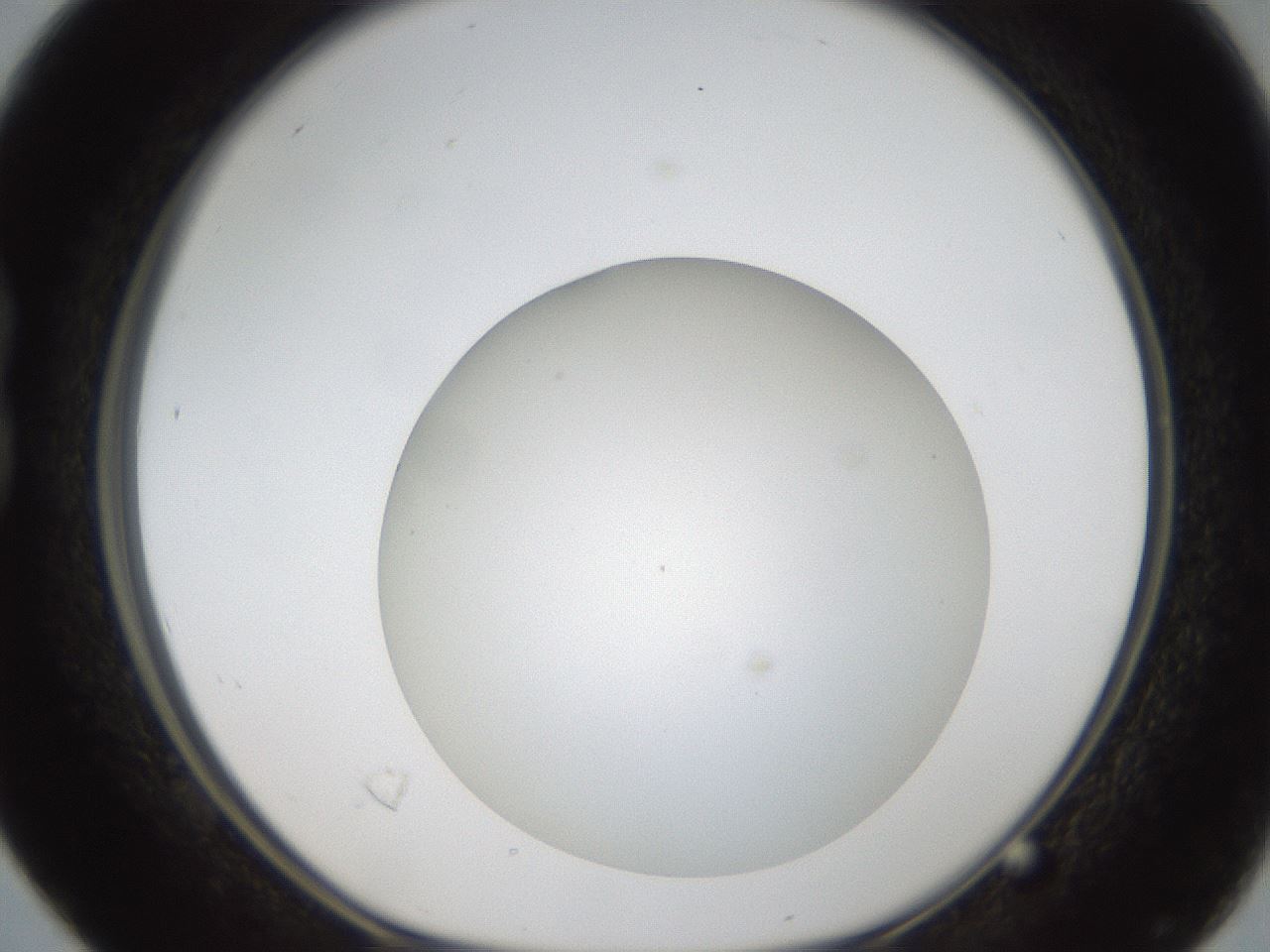folderID304_plateID1304_batchID4307_wellNum16_profileID1_d1_r78791_ef.jpg