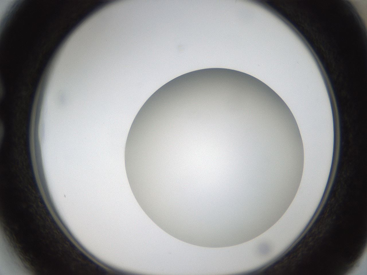 folderID304_plateID1304_batchID4307_wellNum27_profileID1_d1_r78802_ef.jpg