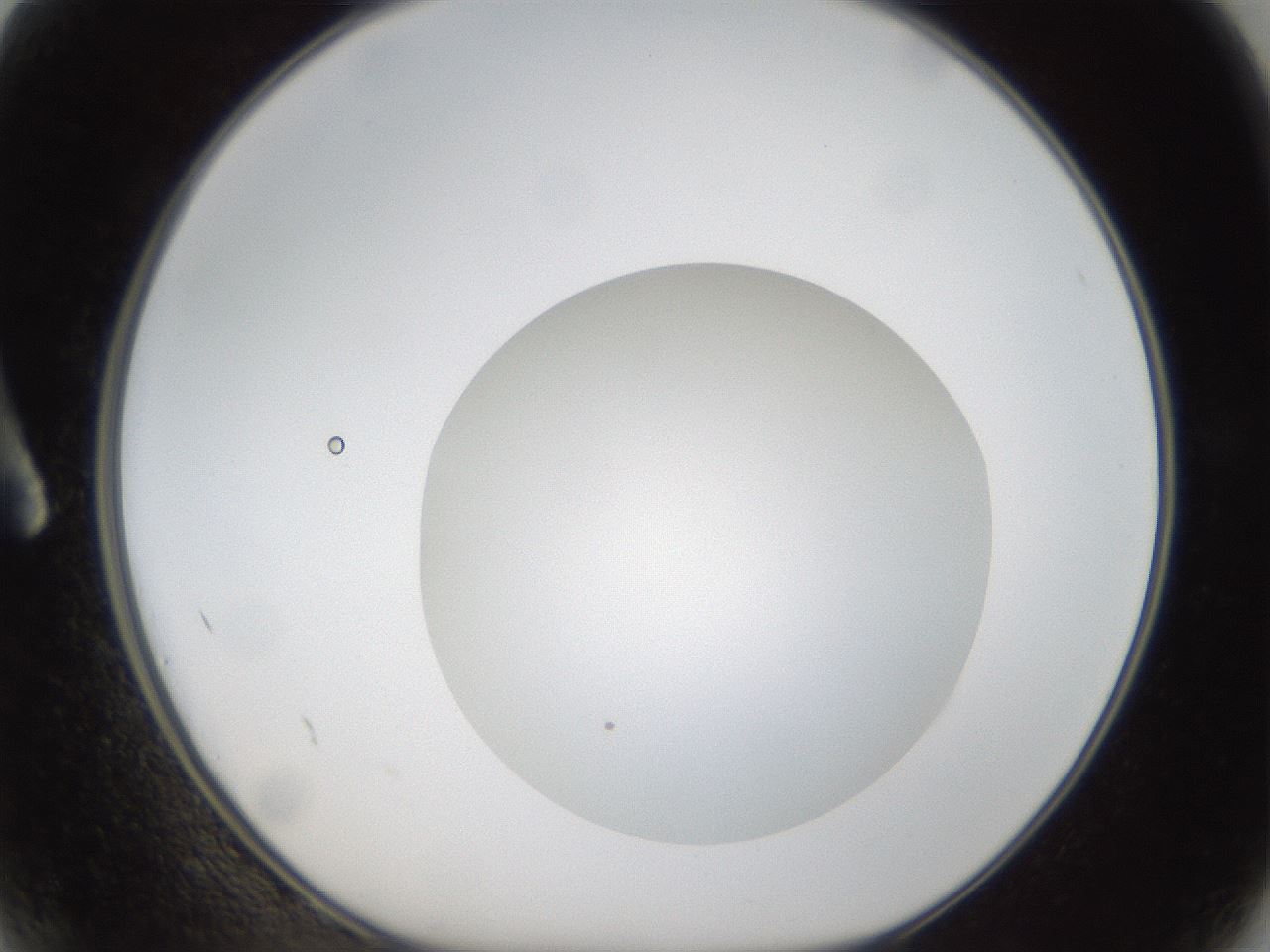 folderID304_plateID1304_batchID4307_wellNum2_profileID1_d1_r78777_ef.jpg