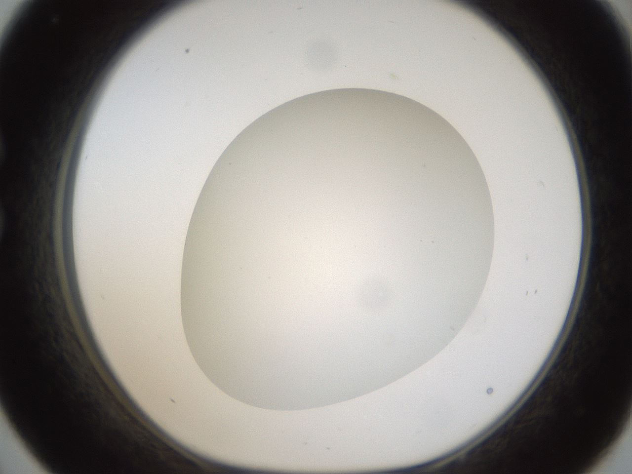 folderID304_plateID1304_batchID4307_wellNum33_profileID1_d1_r78808_ef.jpg