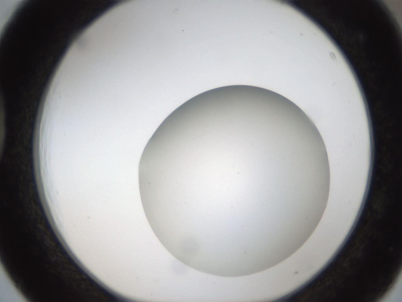 folderID304_plateID1304_batchID4307_wellNum39_profileID1_d1_r78814_ef.jpg
