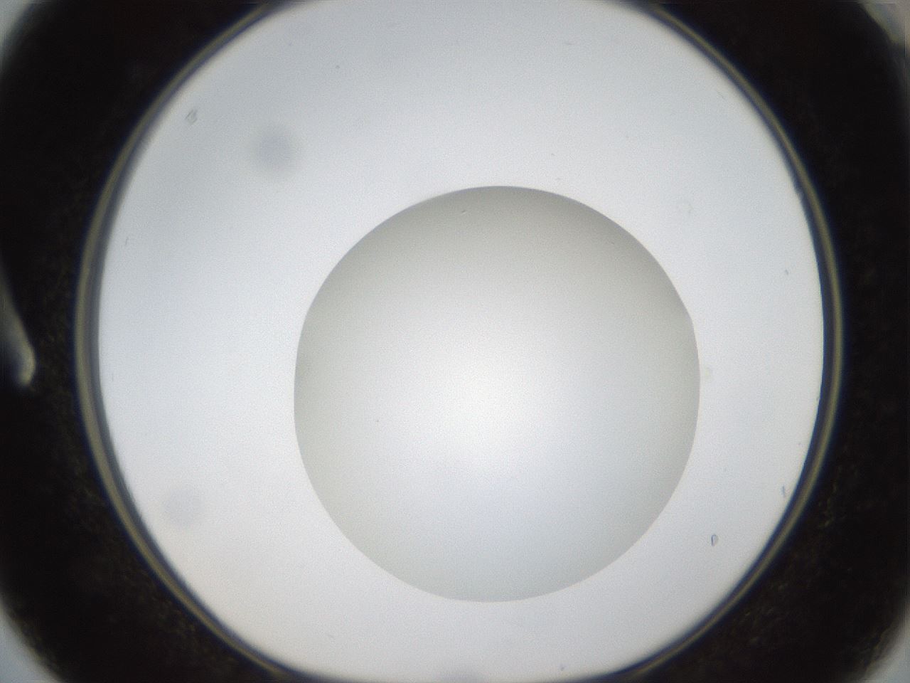 folderID304_plateID1304_batchID4307_wellNum3_profileID1_d1_r78778_ef.jpg