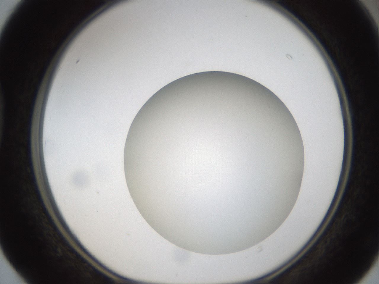 folderID304_plateID1304_batchID4307_wellNum40_profileID1_d1_r78815_ef.jpg