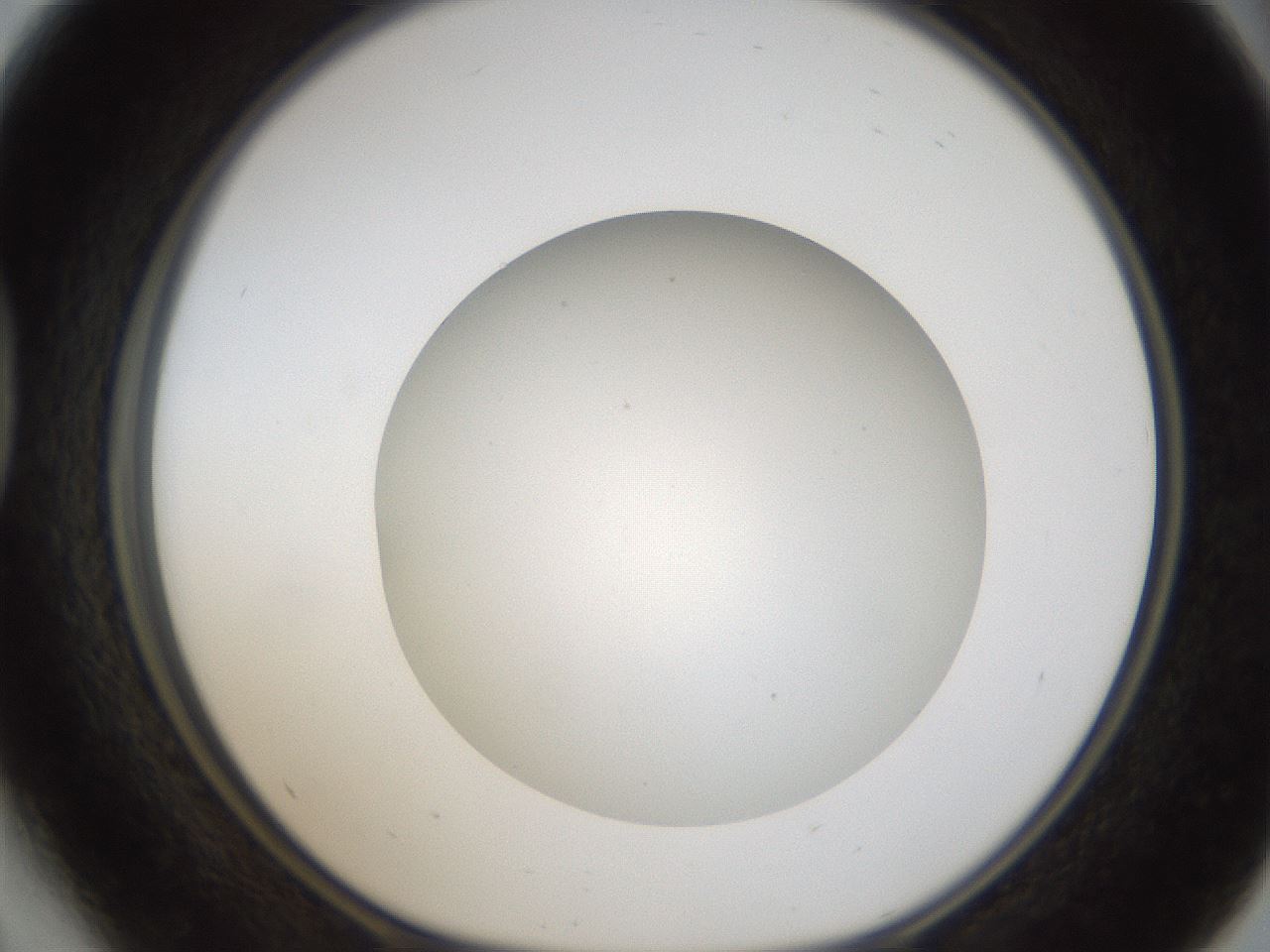folderID304_plateID1304_batchID4307_wellNum41_profileID1_d1_r78816_ef.jpg
