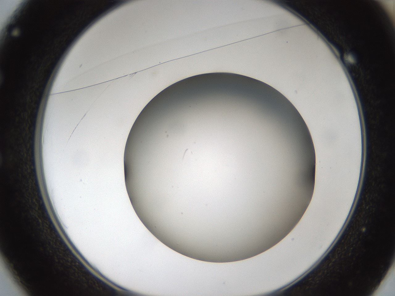 folderID304_plateID1304_batchID4307_wellNum49_profileID1_d1_r78824_ef.jpg