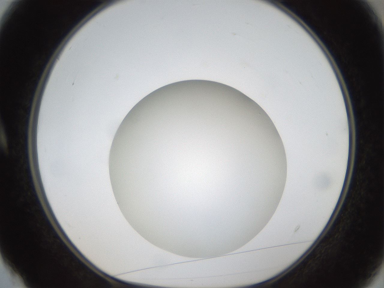 folderID304_plateID1304_batchID4307_wellNum4_profileID1_d1_r78779_ef.jpg