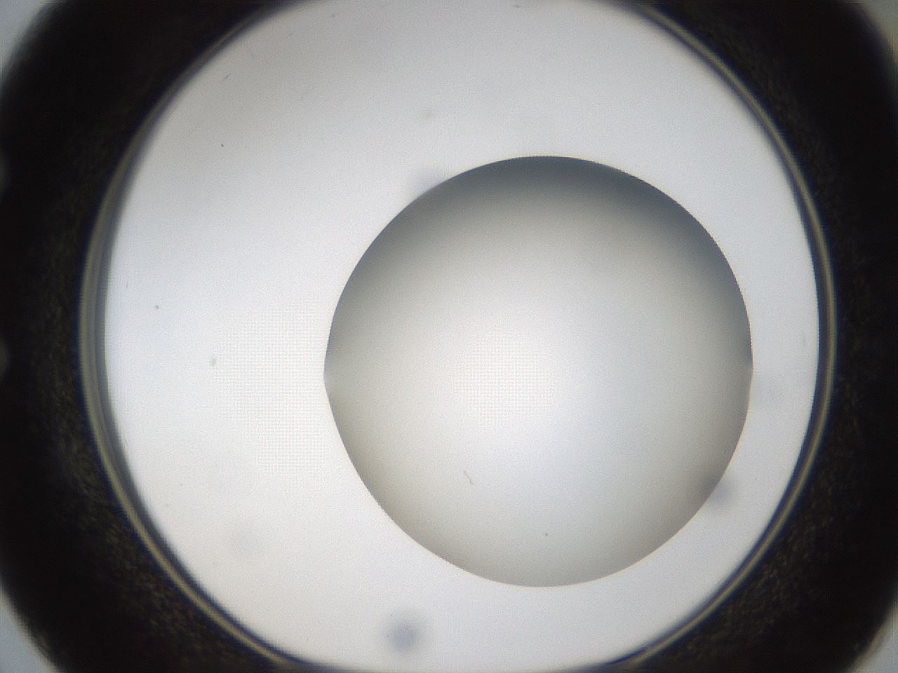 folderID304_plateID1304_batchID4307_wellNum50_profileID1_d1_r78825_ef.jpg