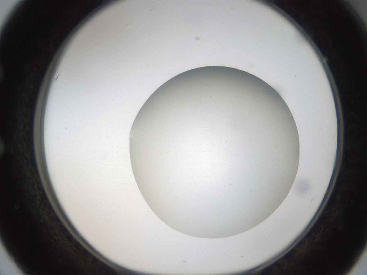 folderID304_plateID1304_batchID4307_wellNum51_profileID1_d1_r78826_ef.jpg