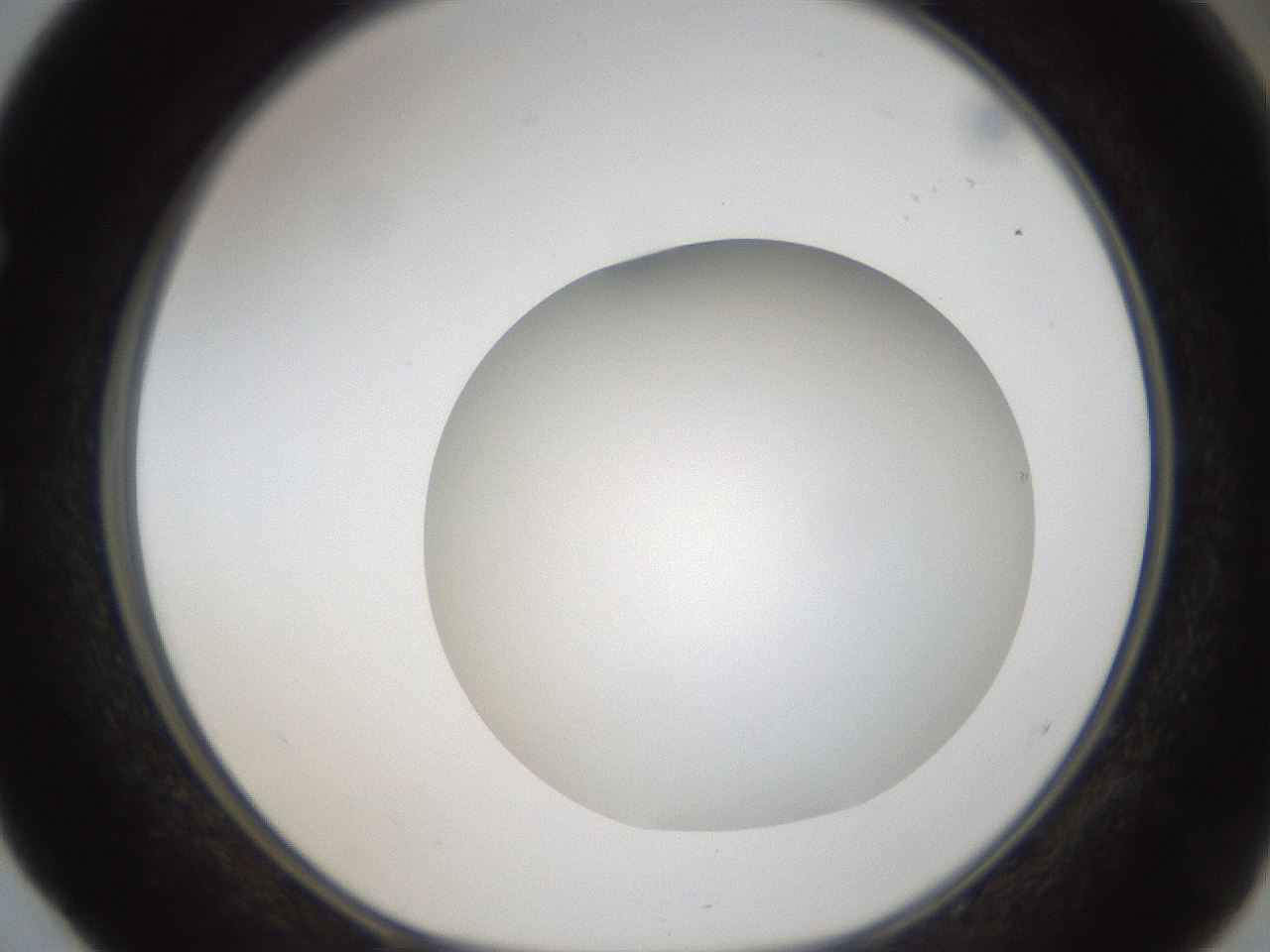 folderID304_plateID1304_batchID4307_wellNum52_profileID1_d1_r78827_ef.jpg