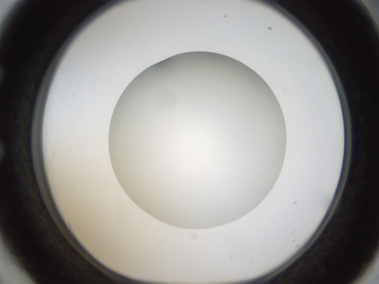 folderID304_plateID1304_batchID4307_wellNum54_profileID1_d1_r78829_ef.jpg
