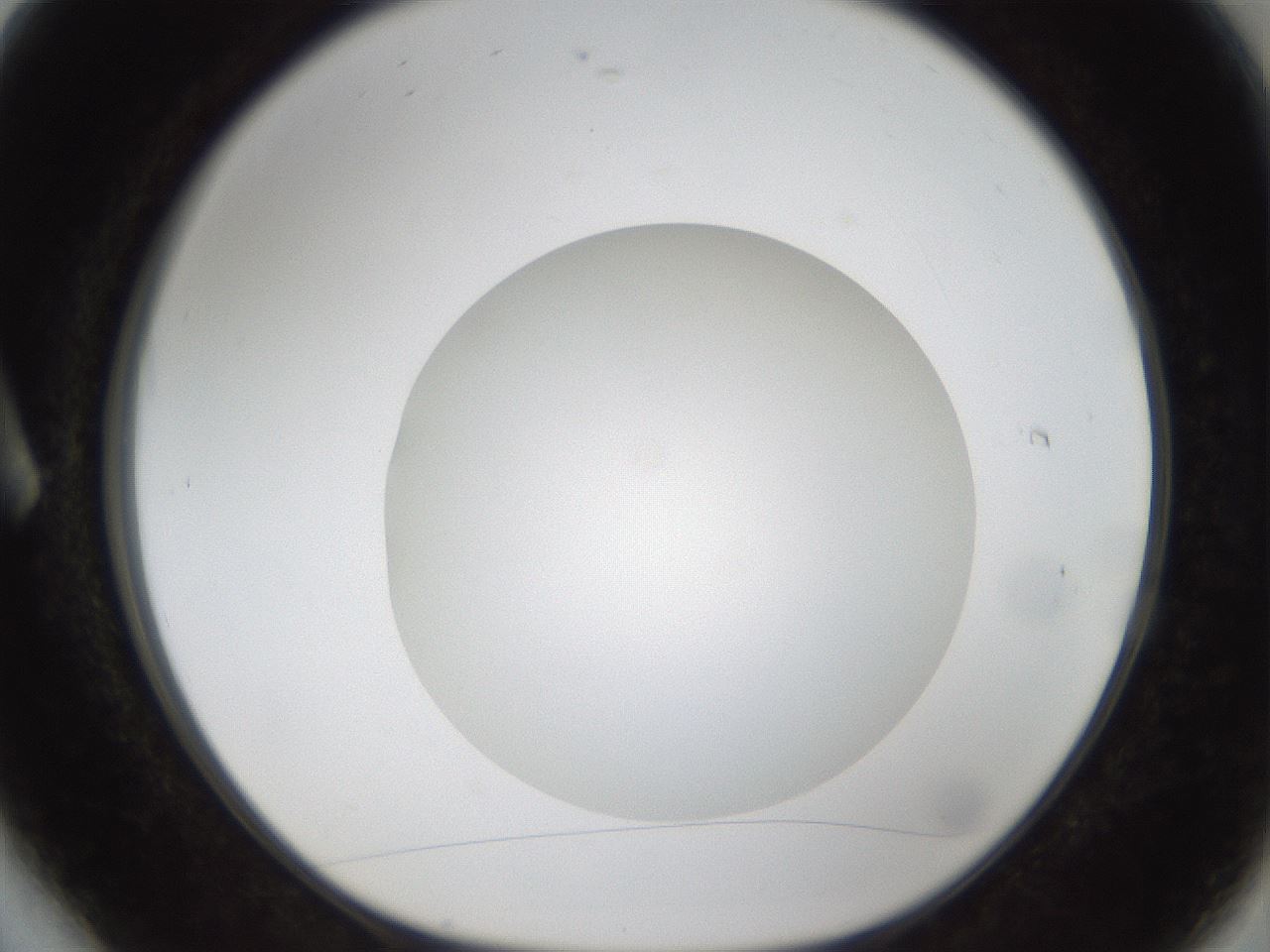 folderID304_plateID1304_batchID4307_wellNum6_profileID1_d1_r78781_ef.jpg