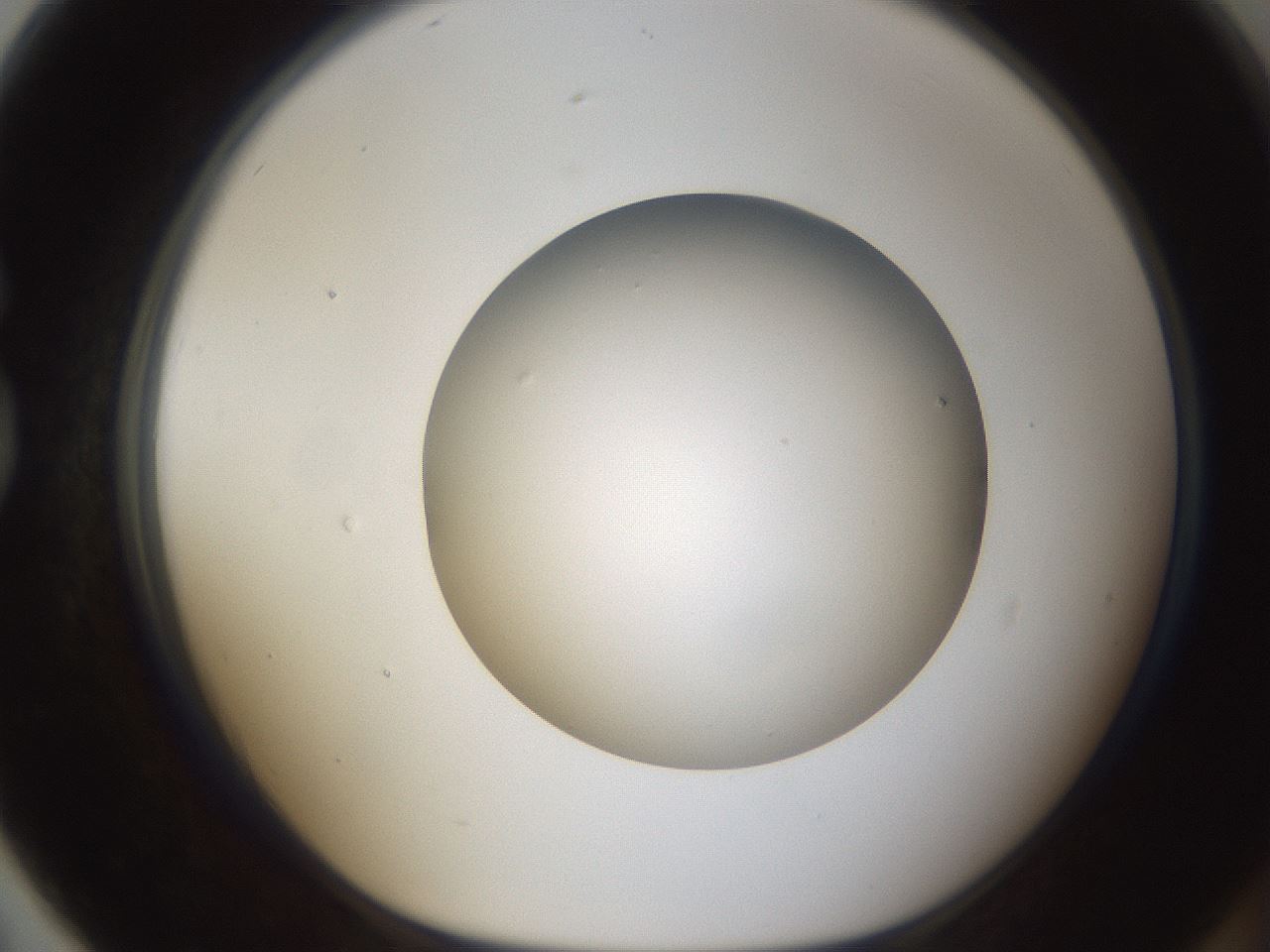 folderID304_plateID1304_batchID4307_wellNum79_profileID1_d1_r78854_ef.jpg