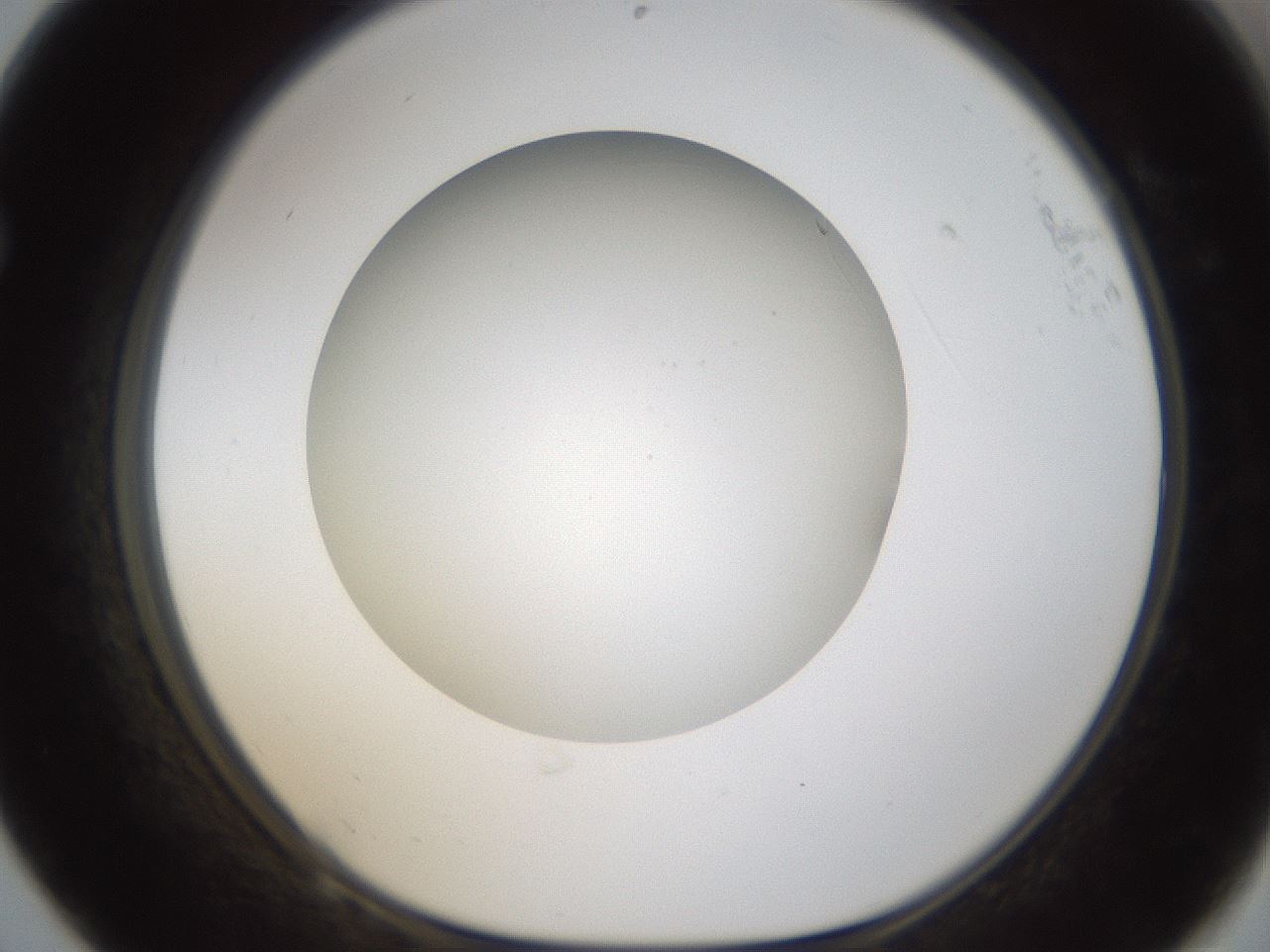 folderID304_plateID1304_batchID4307_wellNum68_profileID1_d1_r78843_ef.jpg
