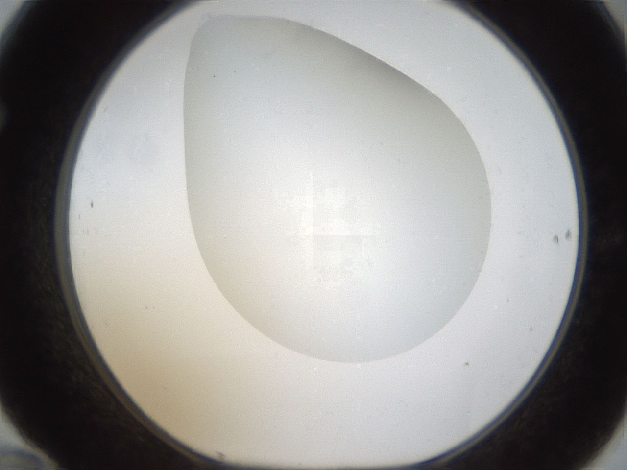 folderID304_plateID1304_batchID4307_wellNum70_profileID1_d1_r78845_ef.jpg