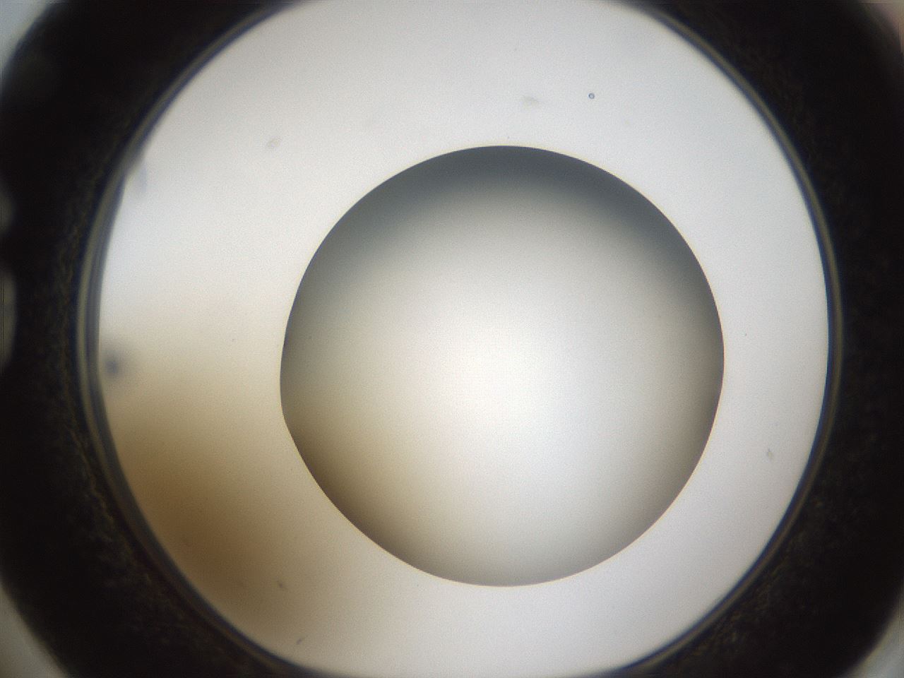 folderID304_plateID1304_batchID4307_wellNum74_profileID1_d1_r78849_ef.jpg