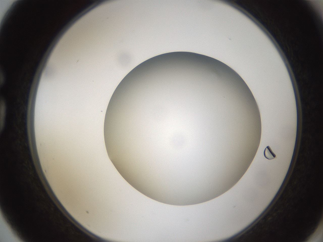 folderID304_plateID1304_batchID4307_wellNum75_profileID1_d1_r78850_ef.jpg