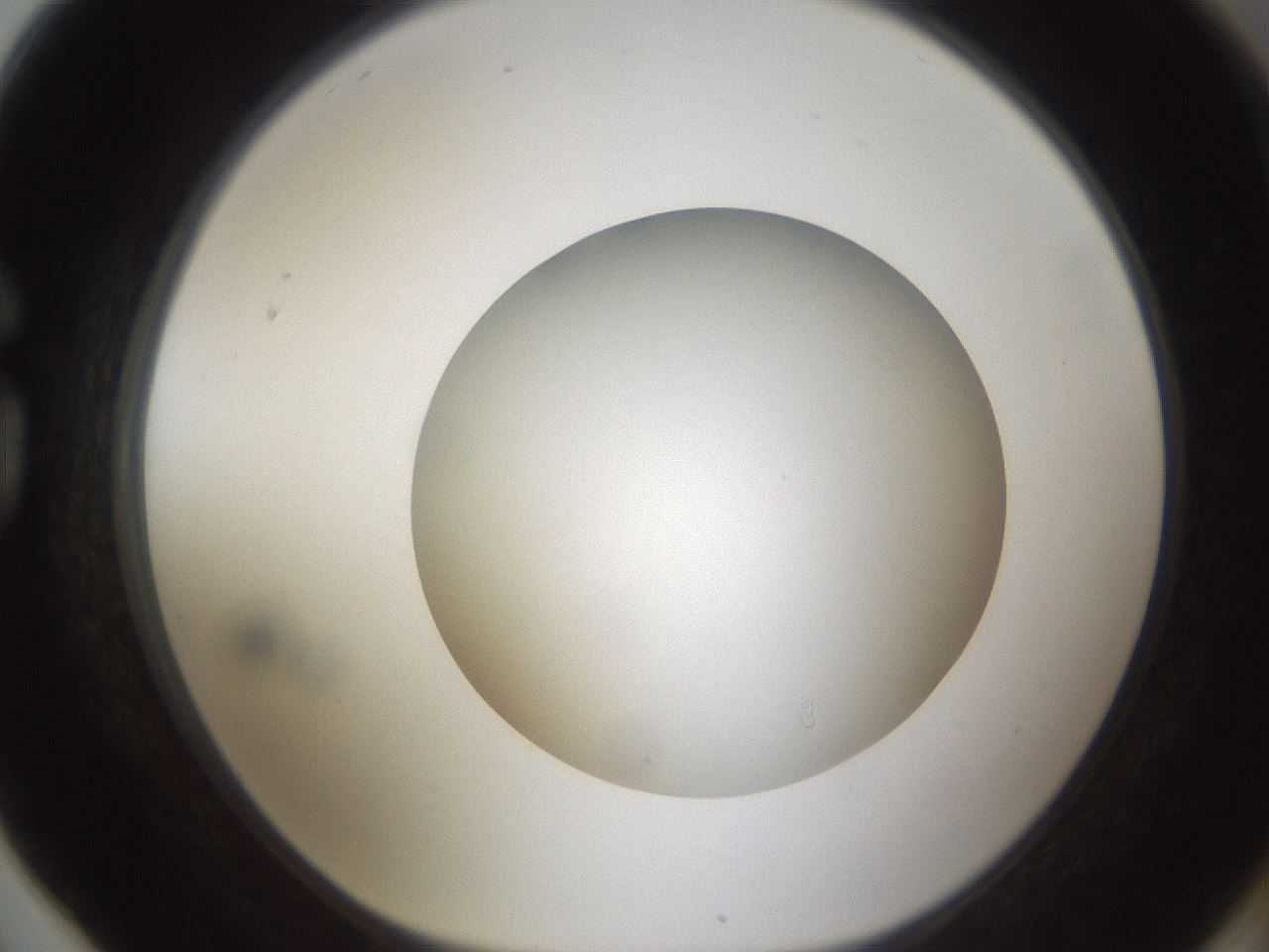 folderID304_plateID1304_batchID4307_wellNum78_profileID1_d1_r78853_ef.jpg