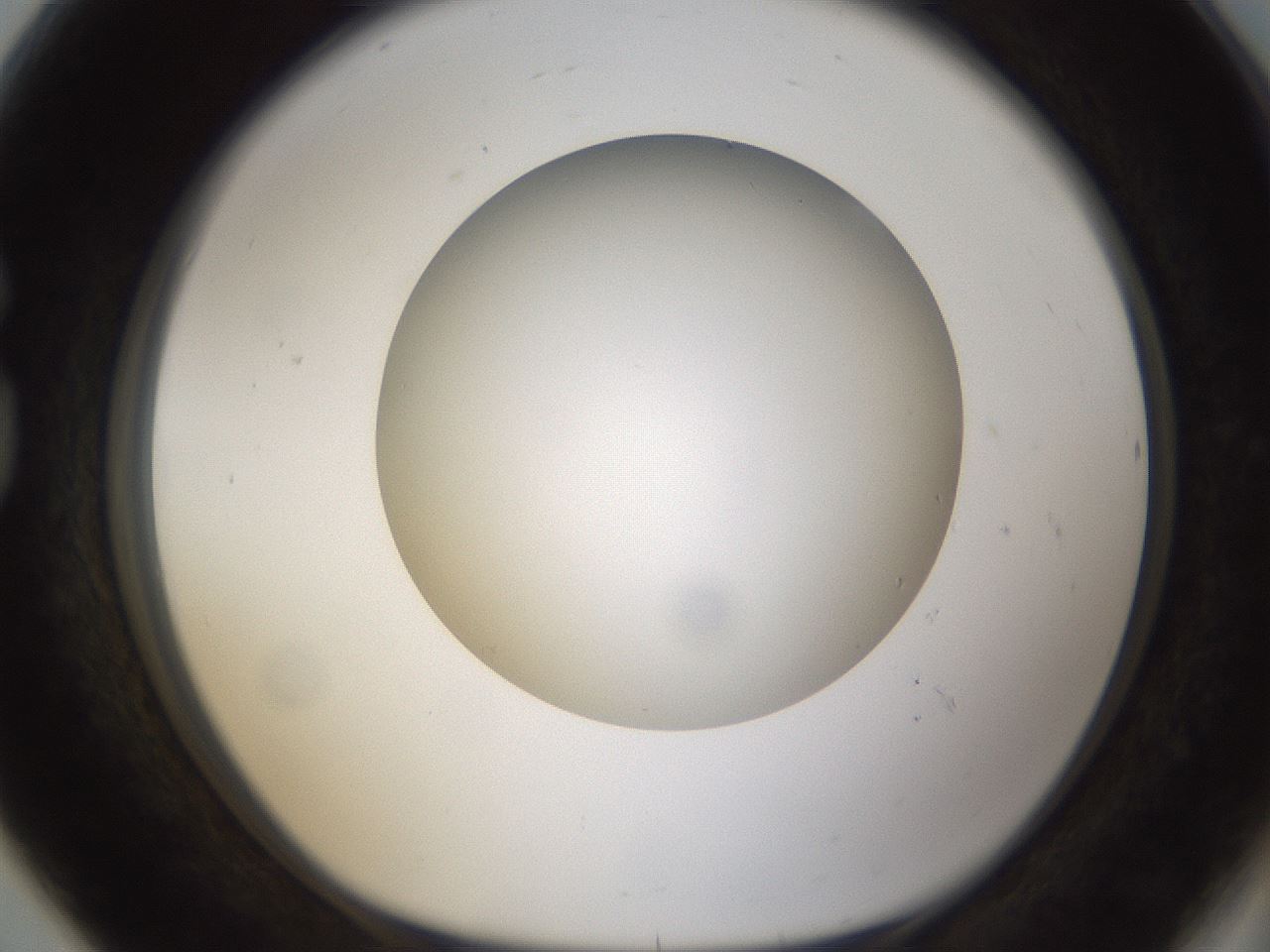 folderID304_plateID1304_batchID4307_wellNum80_profileID1_d1_r78855_ef.jpg