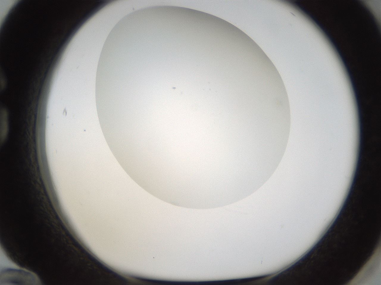 folderID304_plateID1304_batchID4307_wellNum84_profileID1_d1_r78859_ef.jpg