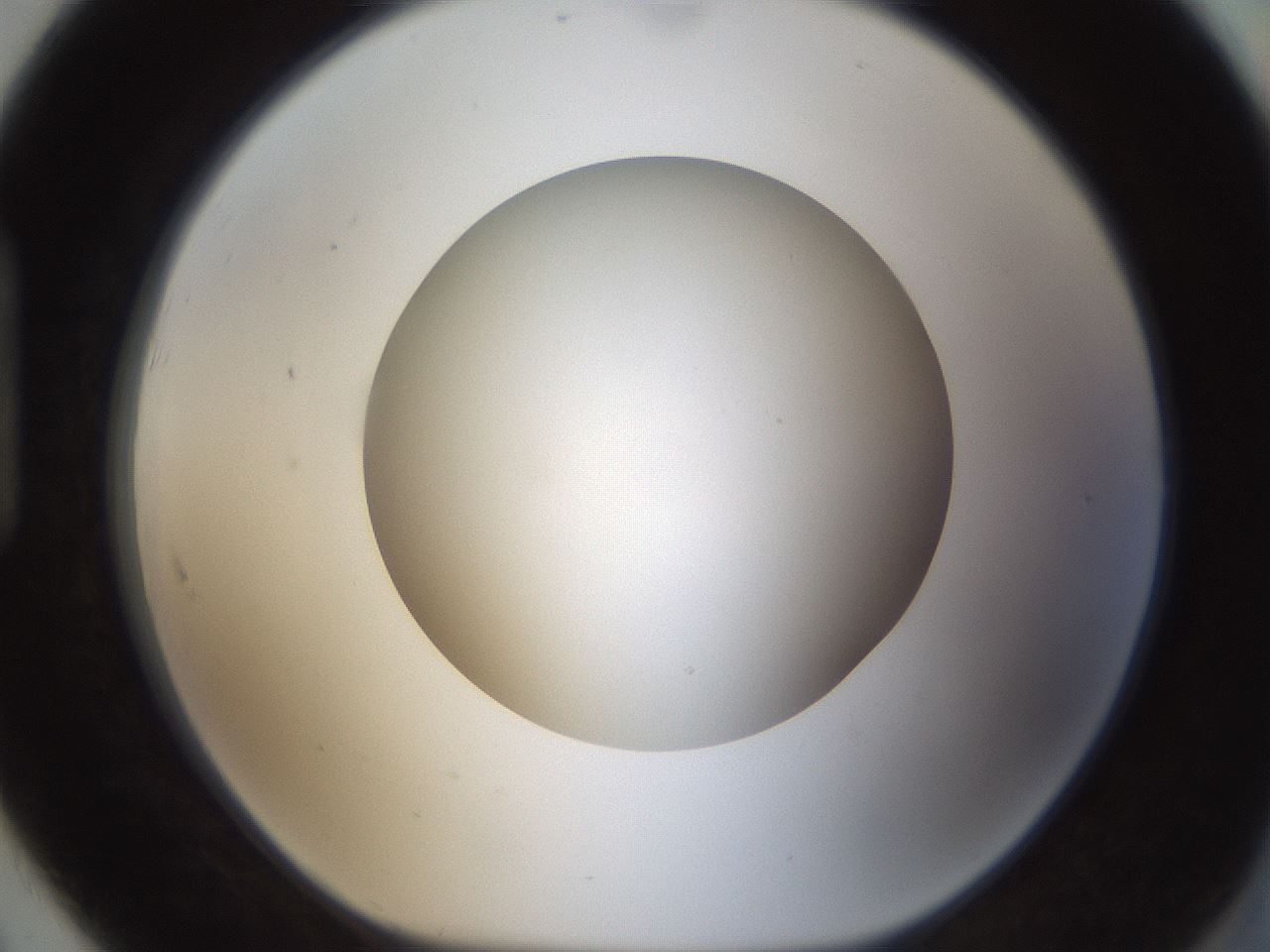 folderID304_plateID1304_batchID4307_wellNum91_profileID1_d1_r78866_ef.jpg