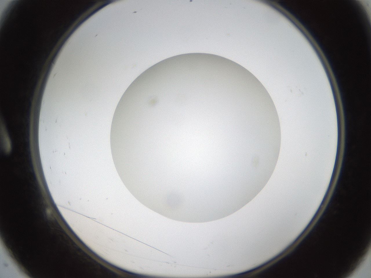 folderID304_plateID1304_batchID4307_wellNum9_profileID1_d1_r78784_ef.jpg