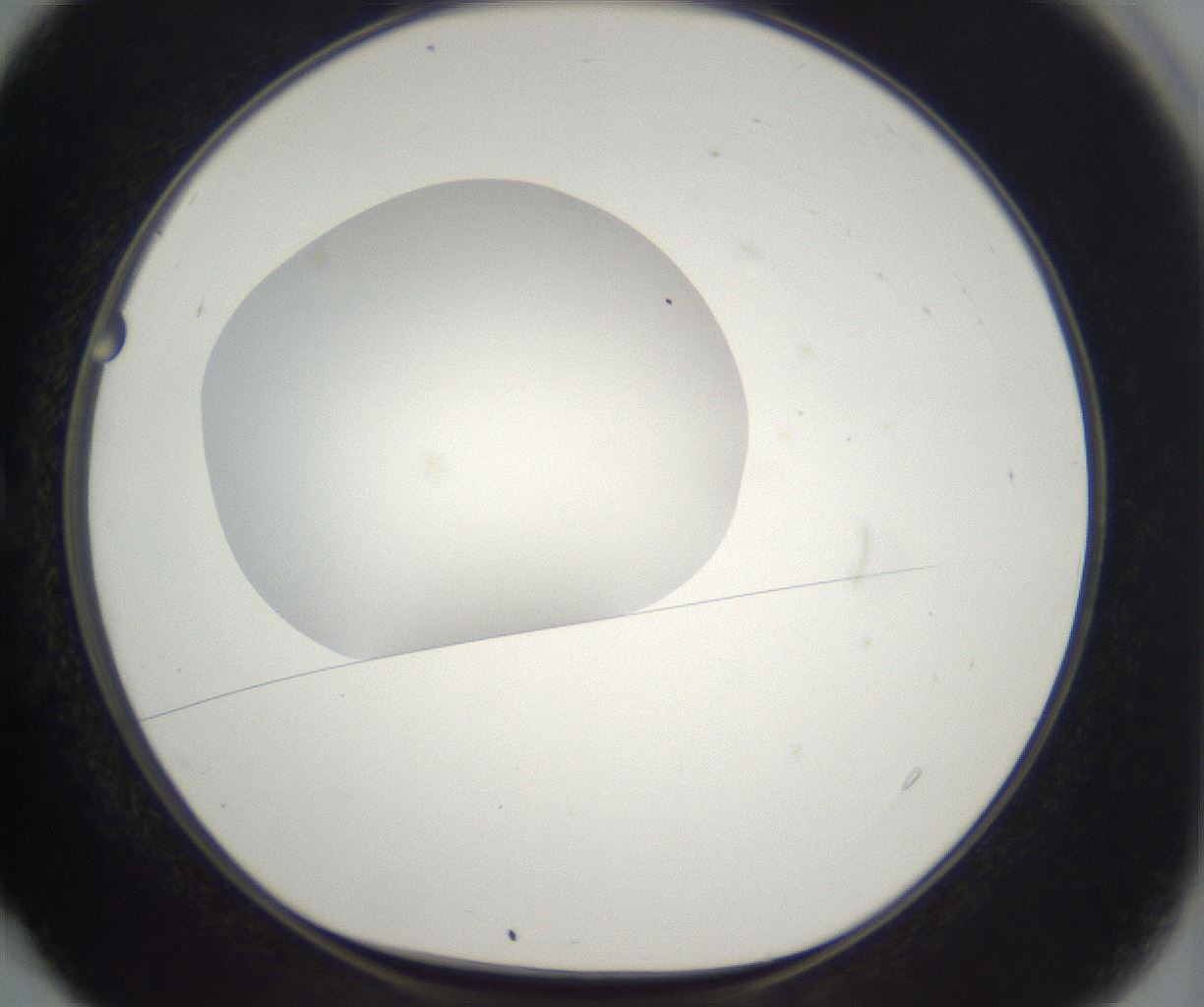 folderID304_plateID2304_batchID10856_wellNum4_profileID1_d1_r161809_ef.jpg
