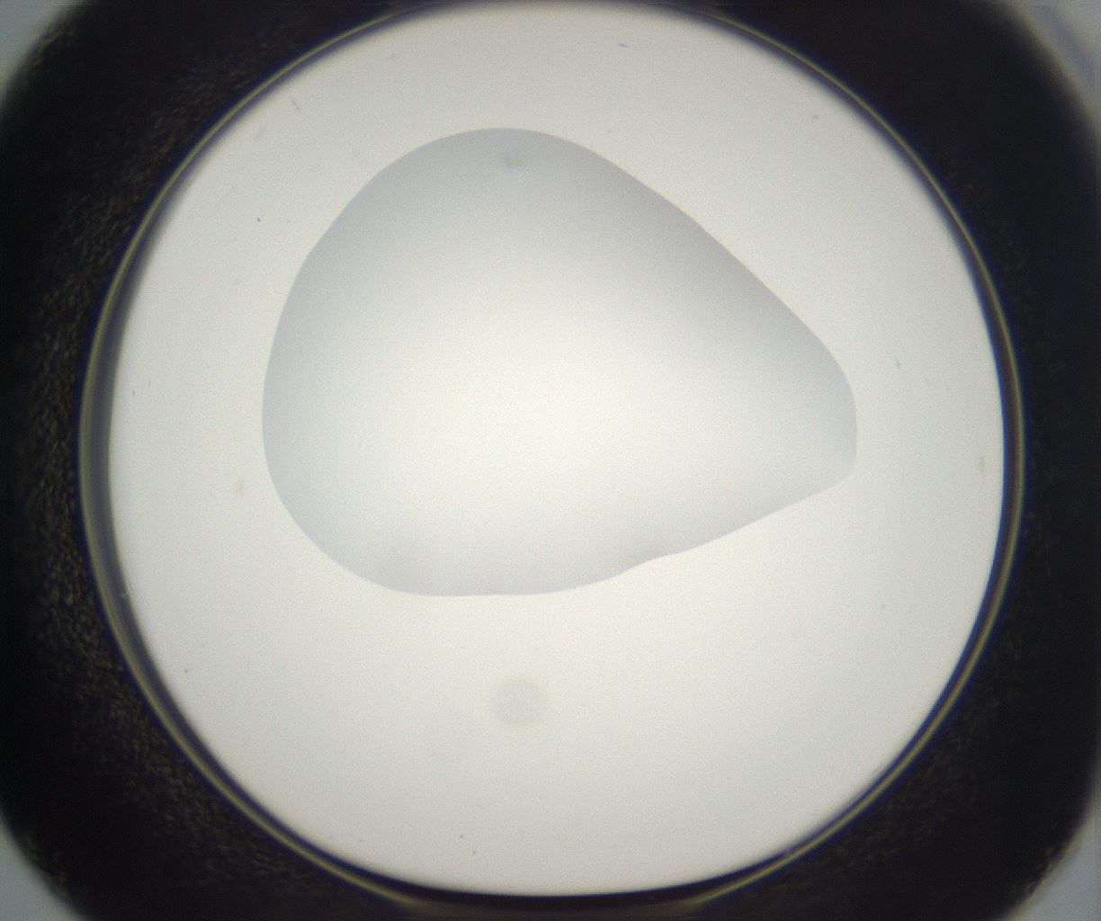 folderID304_plateID2304_batchID10856_wellNum50_profileID1_d1_r161855_ef.jpg