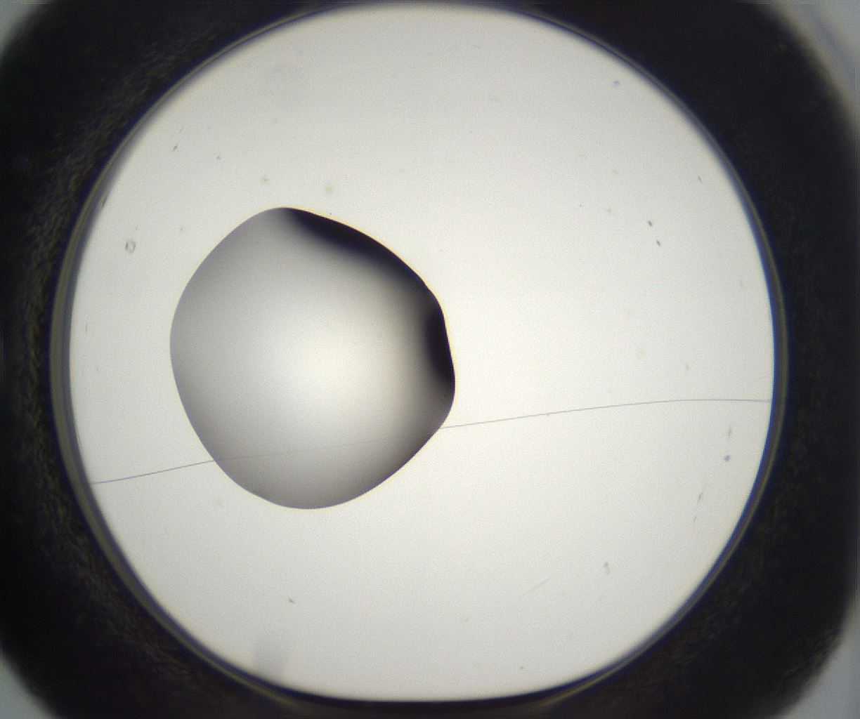 folderID304_plateID2304_batchID10856_wellNum5_profileID1_d1_r161810_ef.jpg