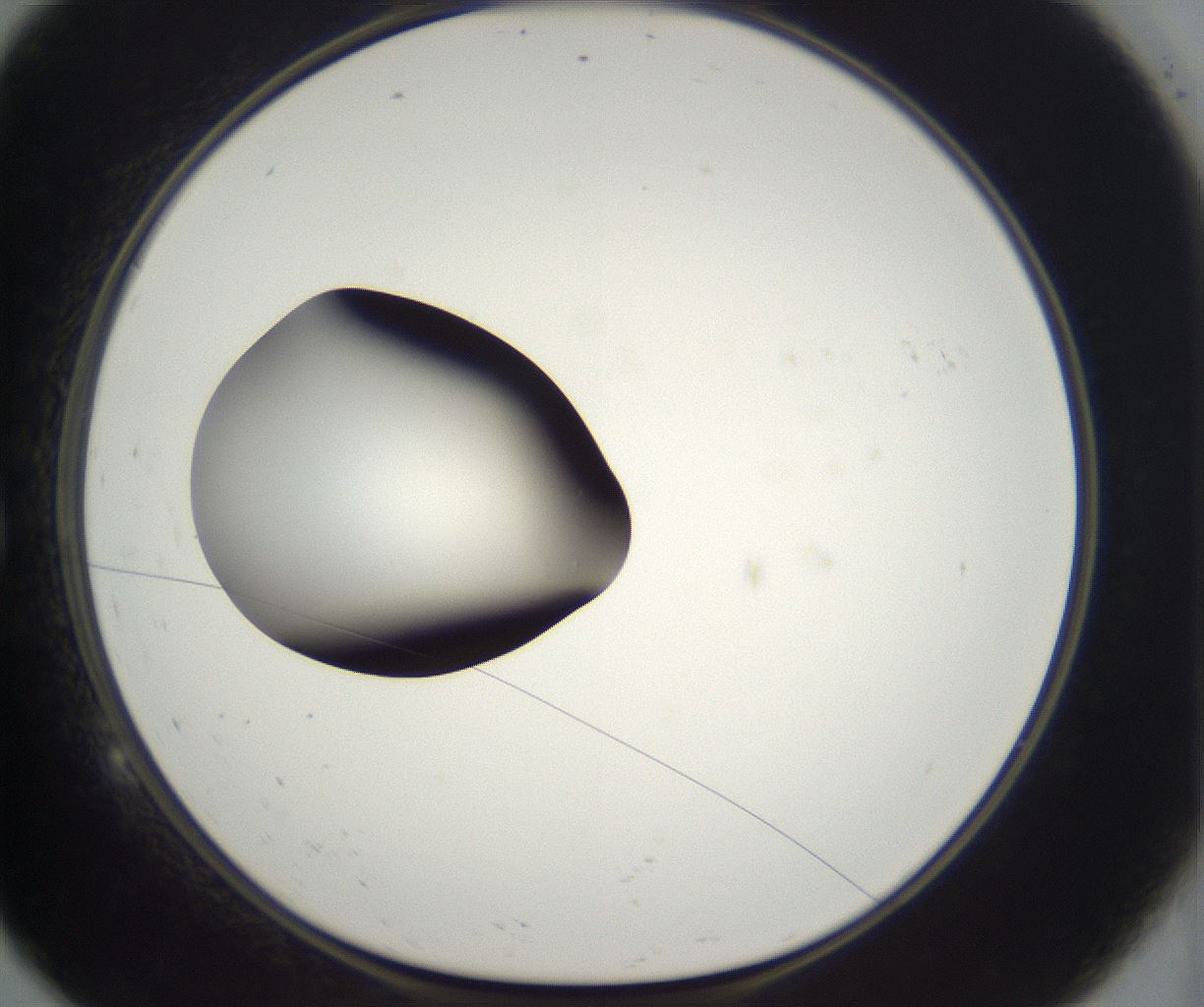 folderID304_plateID2304_batchID10856_wellNum9_profileID1_d1_r161814_ef.jpg