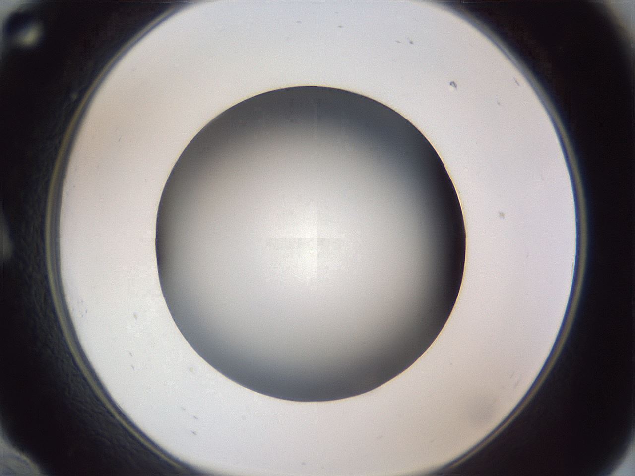 folderID305_plateID1305_batchID4293_wellNum10_profileID1_d1_r77825_ef.jpg