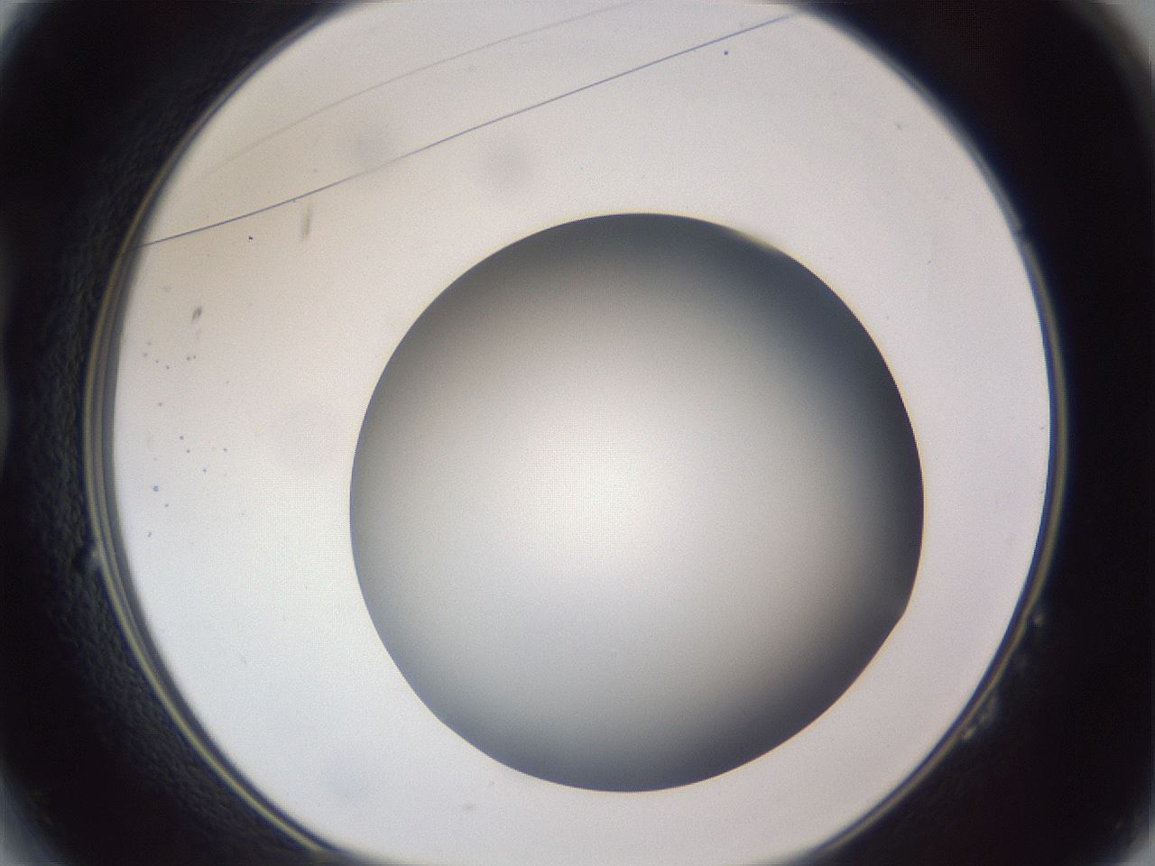 folderID305_plateID1305_batchID4293_wellNum14_profileID1_d1_r77829_ef.jpg