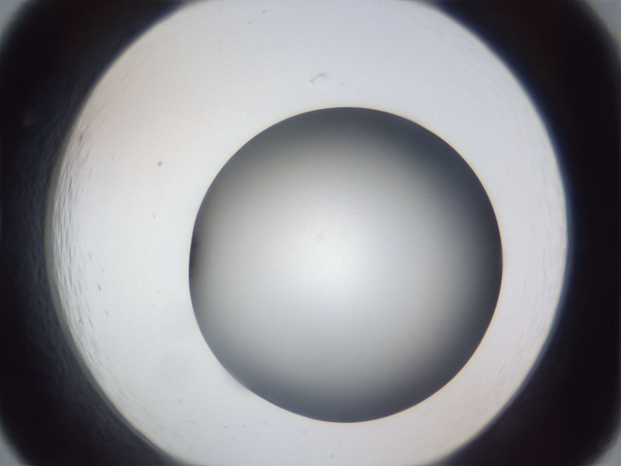 folderID305_plateID1305_batchID4293_wellNum19_profileID1_d1_r77834_ef.jpg