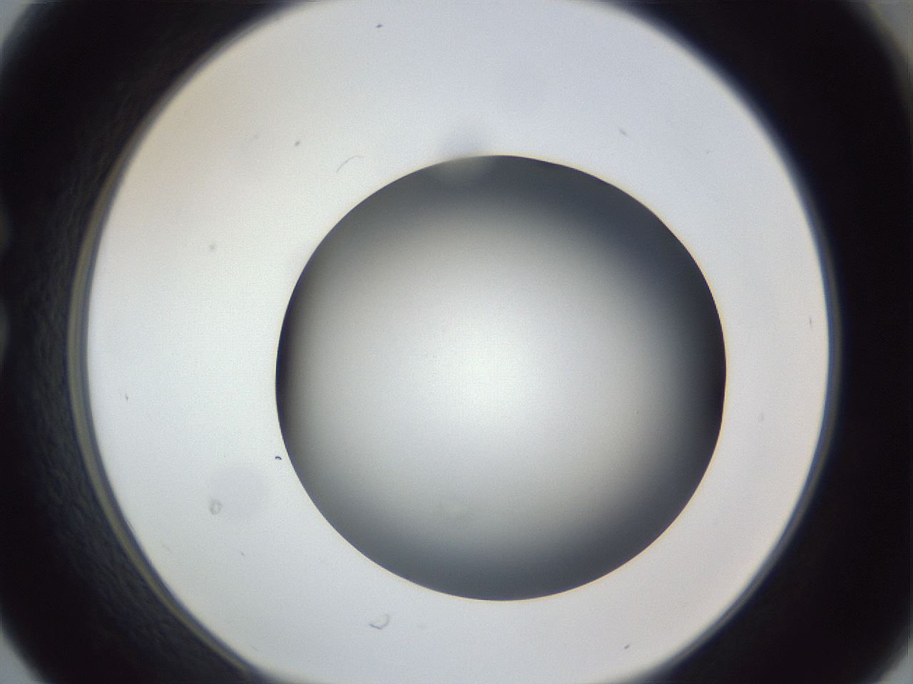 folderID305_plateID1305_batchID4293_wellNum30_profileID1_d1_r77845_ef.jpg