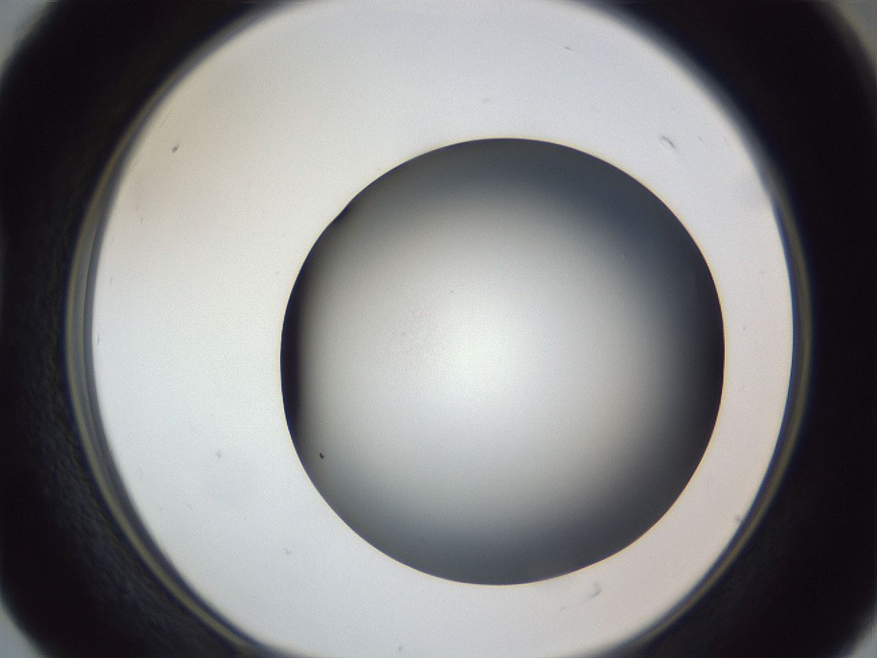 folderID305_plateID1305_batchID4293_wellNum40_profileID1_d1_r77855_ef.jpg