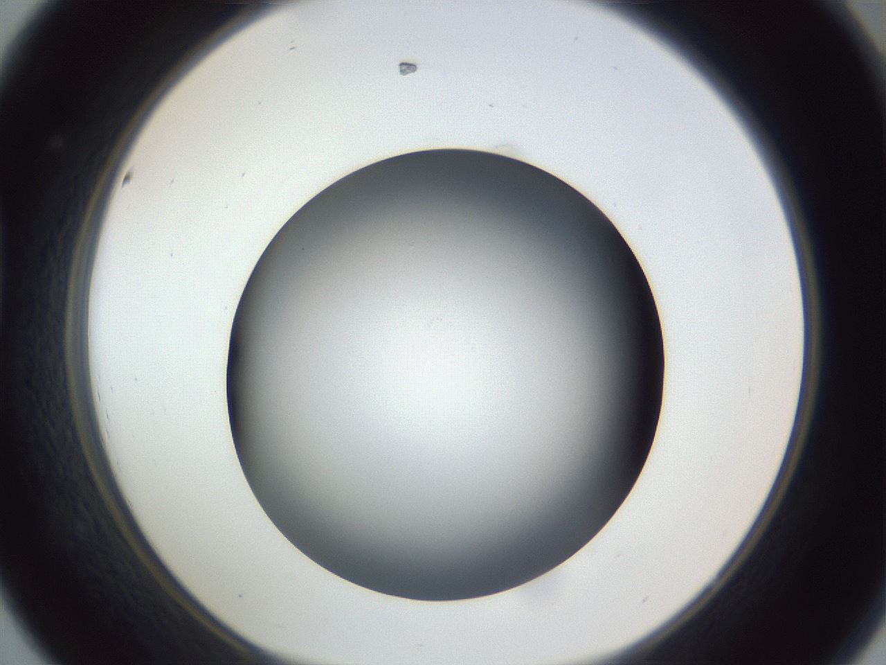 folderID305_plateID1305_batchID4293_wellNum44_profileID1_d1_r77859_ef.jpg