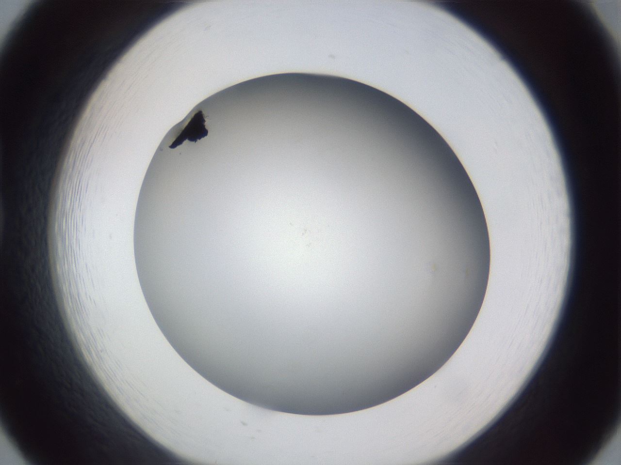 folderID305_plateID1305_batchID4293_wellNum20_profileID1_d1_r77835_ef.jpg
