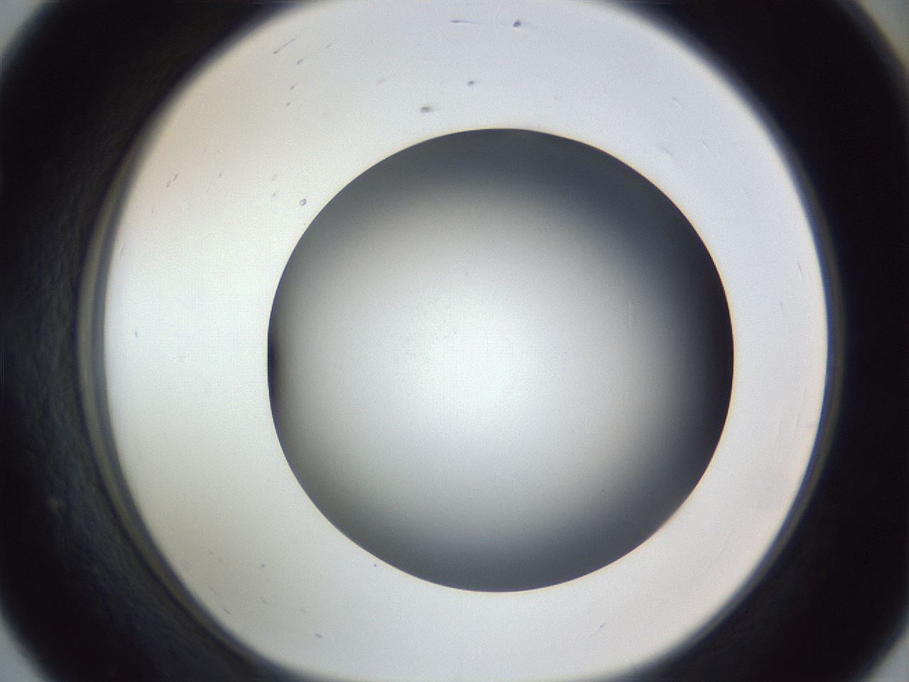 folderID305_plateID1305_batchID4293_wellNum56_profileID1_d1_r77871_ef.jpg