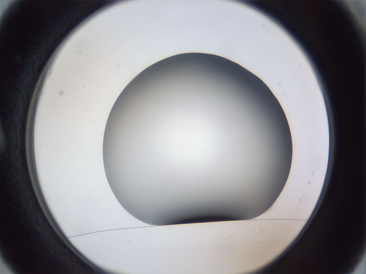 folderID305_plateID1305_batchID4293_wellNum5_profileID1_d1_r77820_ef.jpg
