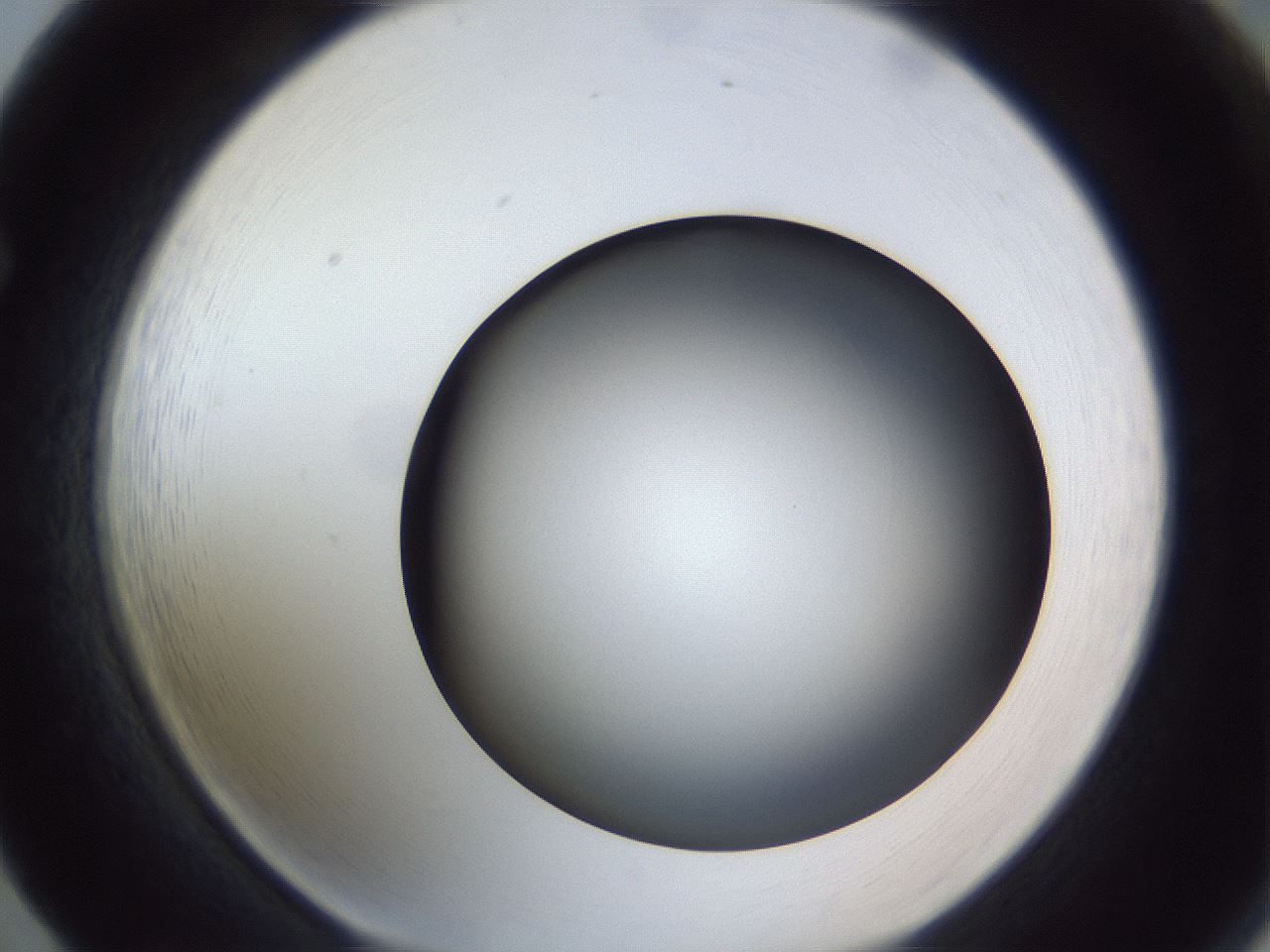 folderID305_plateID1305_batchID4293_wellNum65_profileID1_d1_r77880_ef.jpg