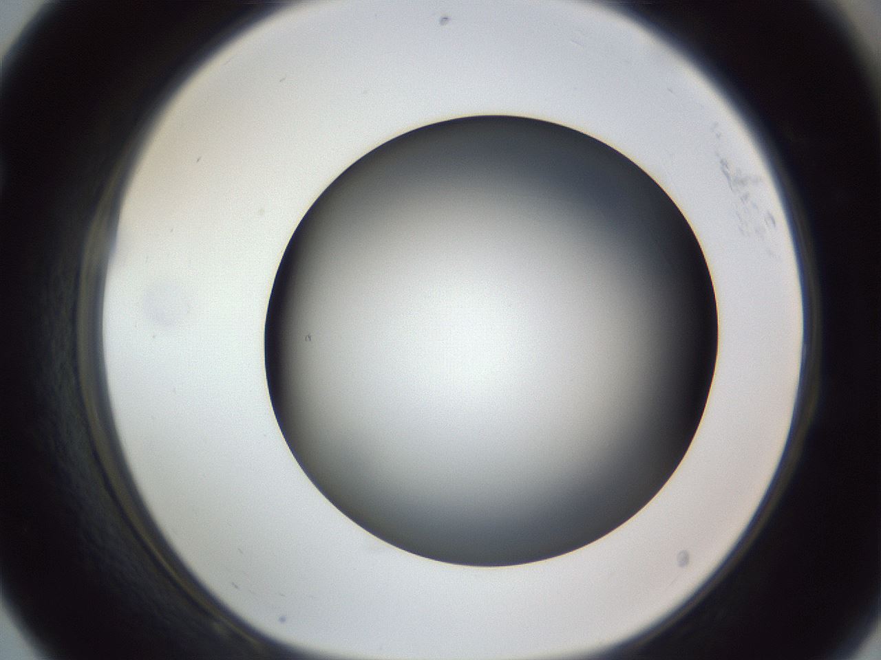 folderID305_plateID1305_batchID4293_wellNum68_profileID1_d1_r77883_ef.jpg