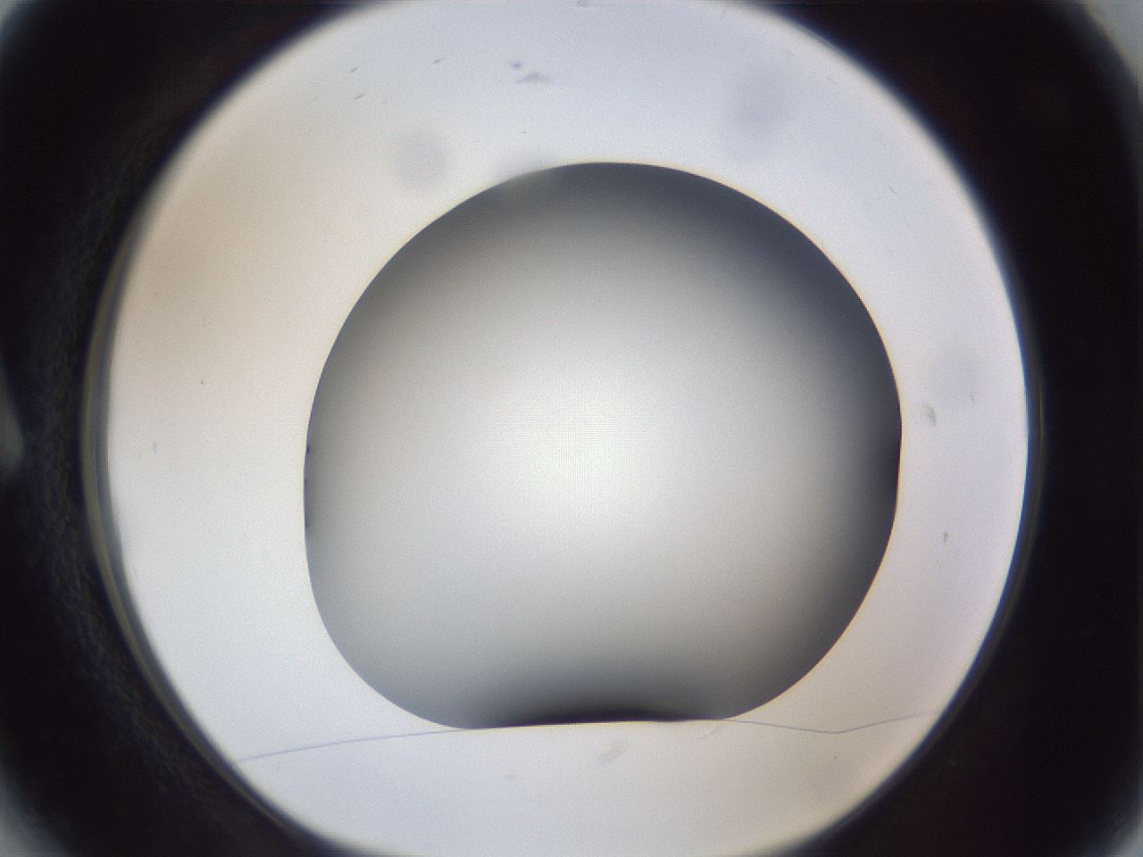 folderID305_plateID1305_batchID4293_wellNum6_profileID1_d1_r77821_ef.jpg