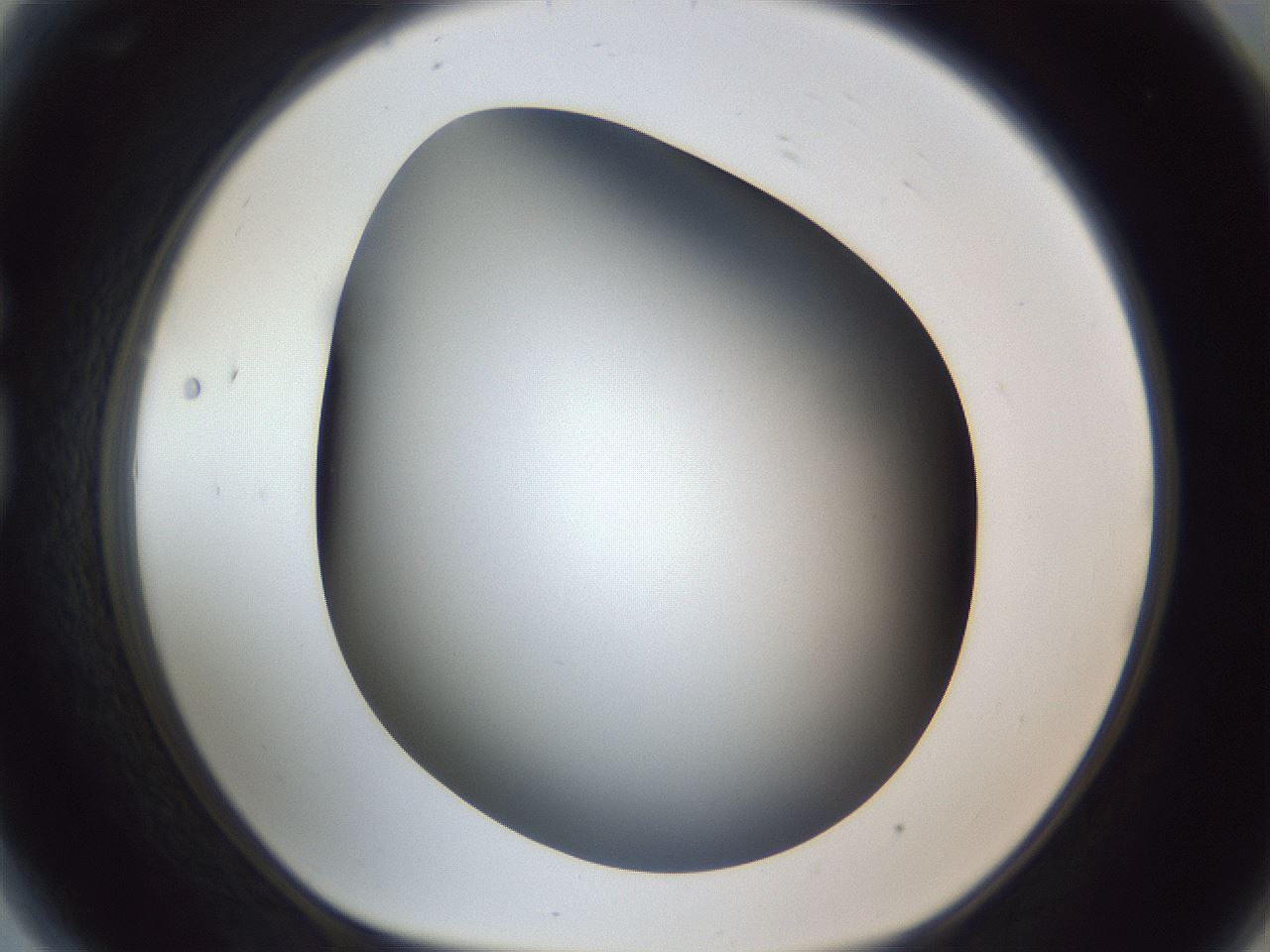 folderID305_plateID1305_batchID4293_wellNum81_profileID1_d1_r77896_ef.jpg