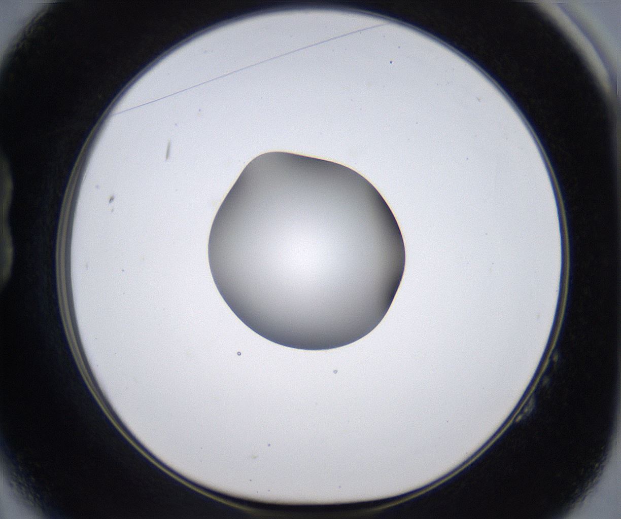folderID305_plateID2305_batchID10850_wellNum14_profileID1_d1_r161243_ef.jpg