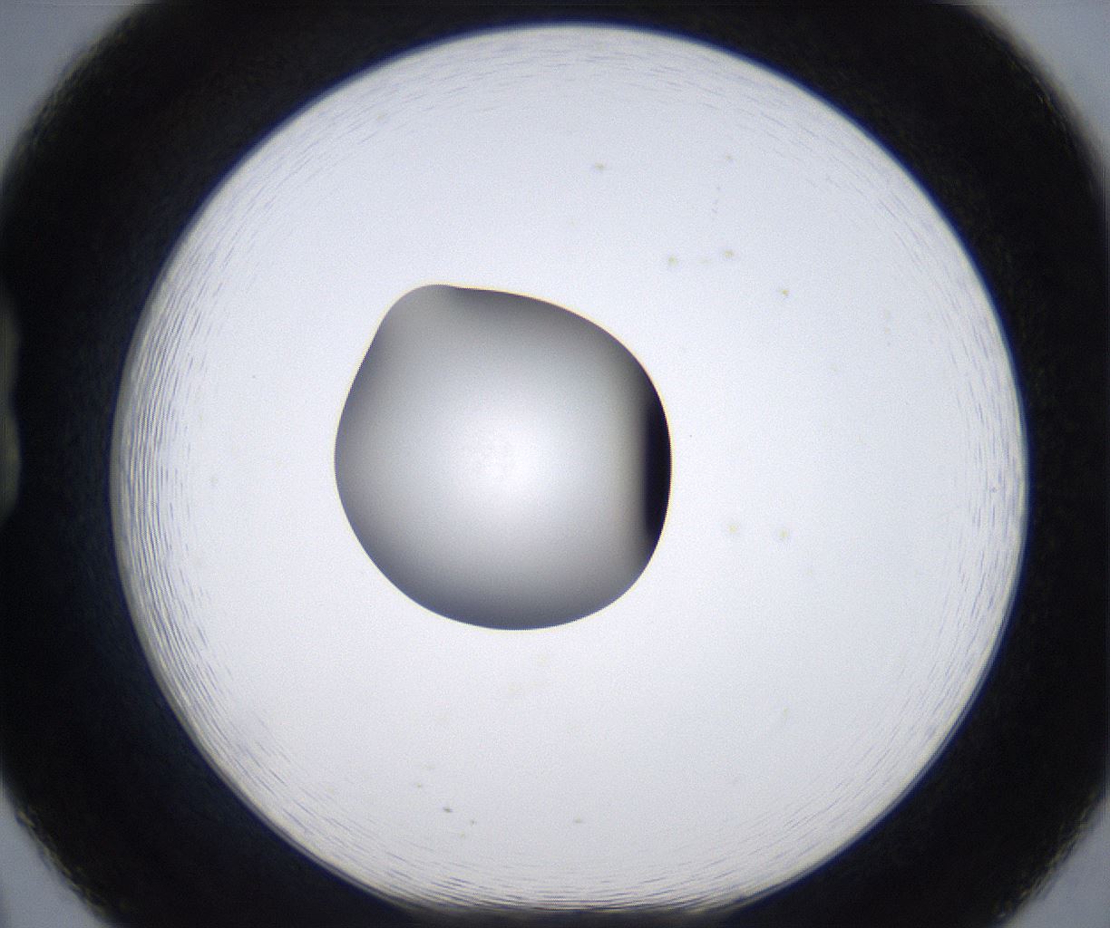 folderID305_plateID2305_batchID10850_wellNum20_profileID1_d1_r161249_ef.jpg
