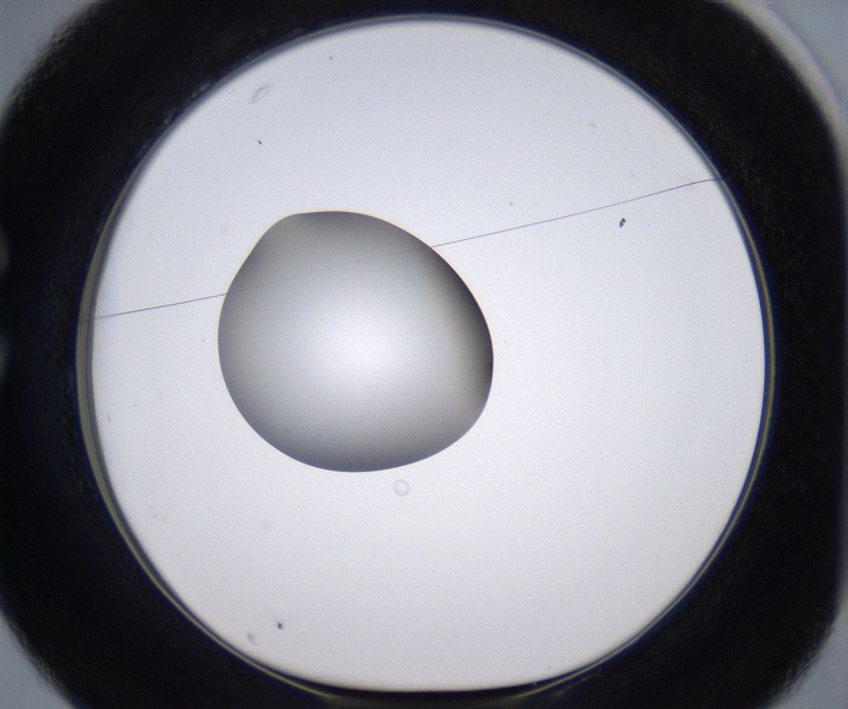 folderID305_plateID2305_batchID10850_wellNum25_profileID1_d1_r161254_ef.jpg
