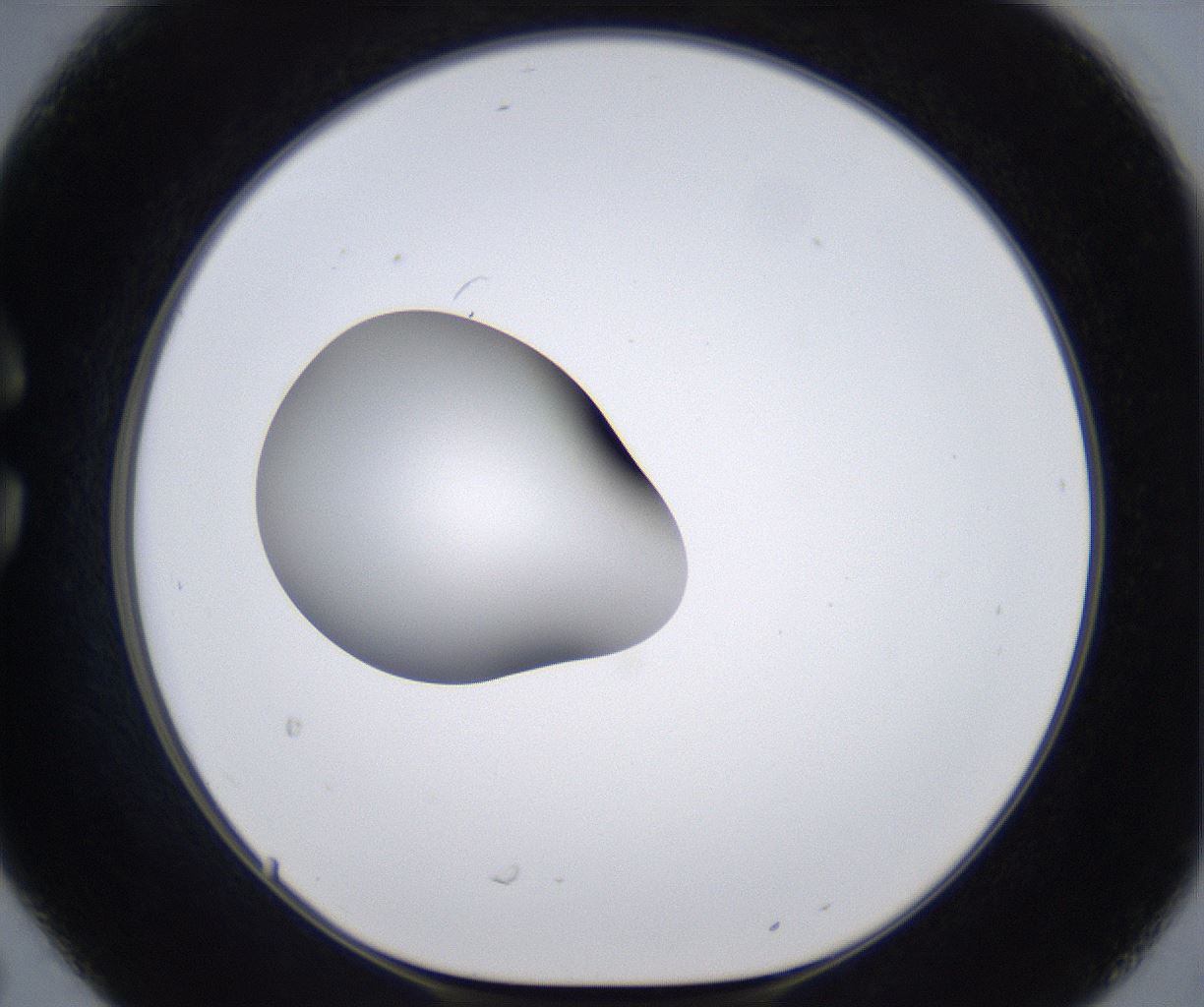 folderID305_plateID2305_batchID10850_wellNum30_profileID1_d1_r161259_ef.jpg