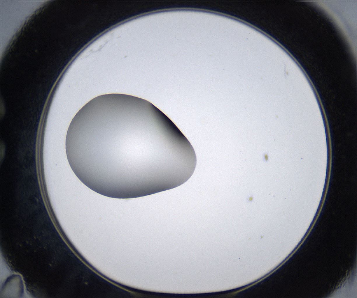 folderID305_plateID2305_batchID10850_wellNum35_profileID1_d1_r161264_ef.jpg